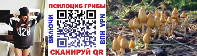 Псилоцибиновые грибы ЛСД  где купить   Асбест 