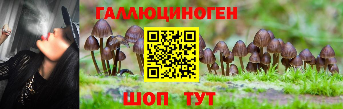 Галлюциногенные грибы MAGIC MUSHROOMS  Вход с VPN  Асбест 