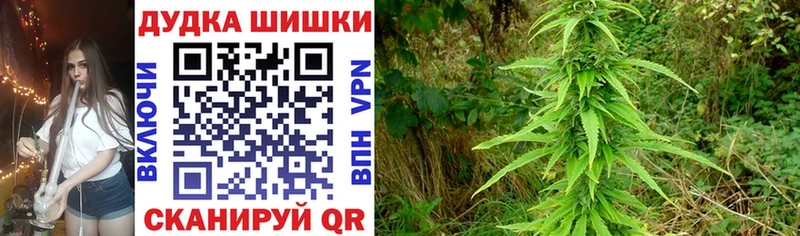 Шишки марихуана Bruce Banner  купить закладку  Асбест 